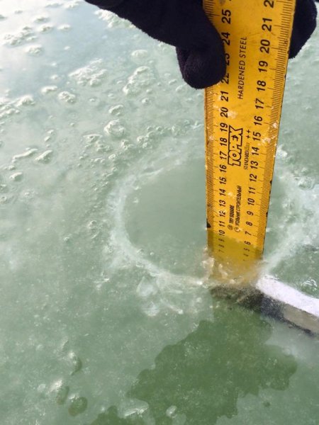 10690206_390552114449085_5607458927422846122_n